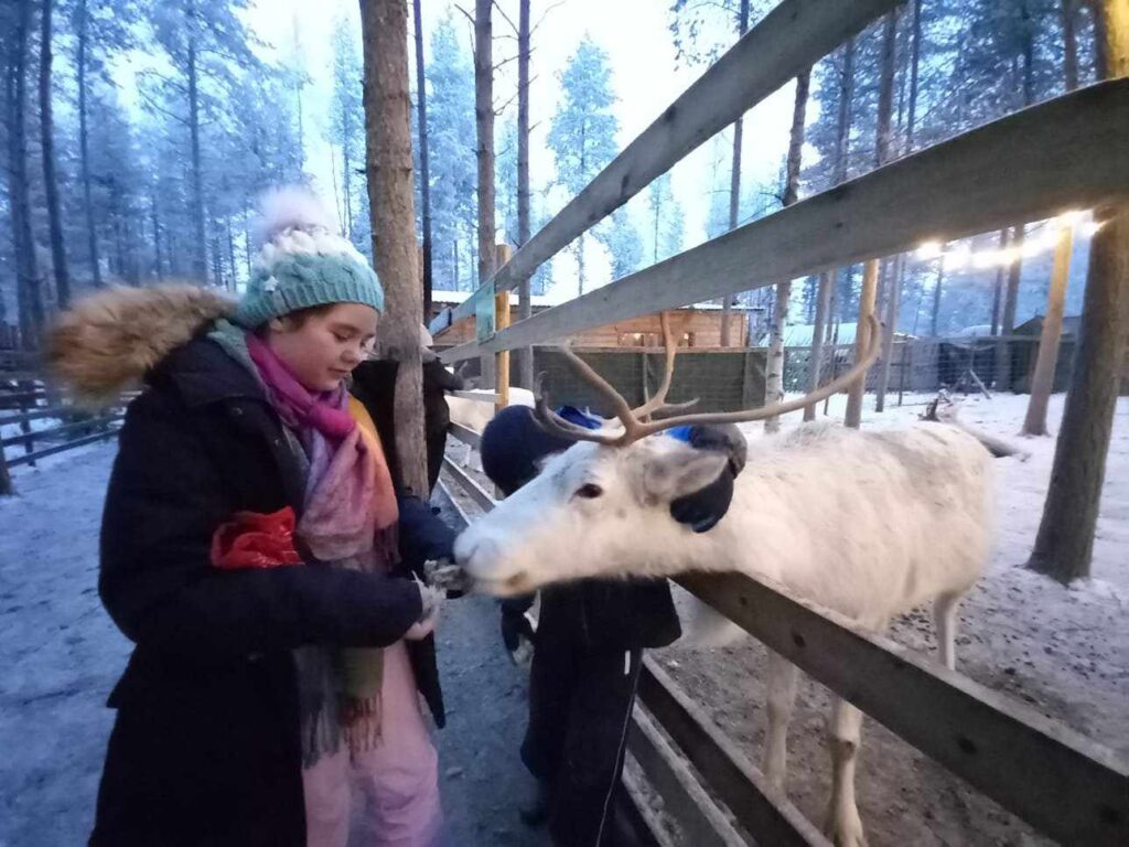 Santa Claus Financial Parenting Reindeer