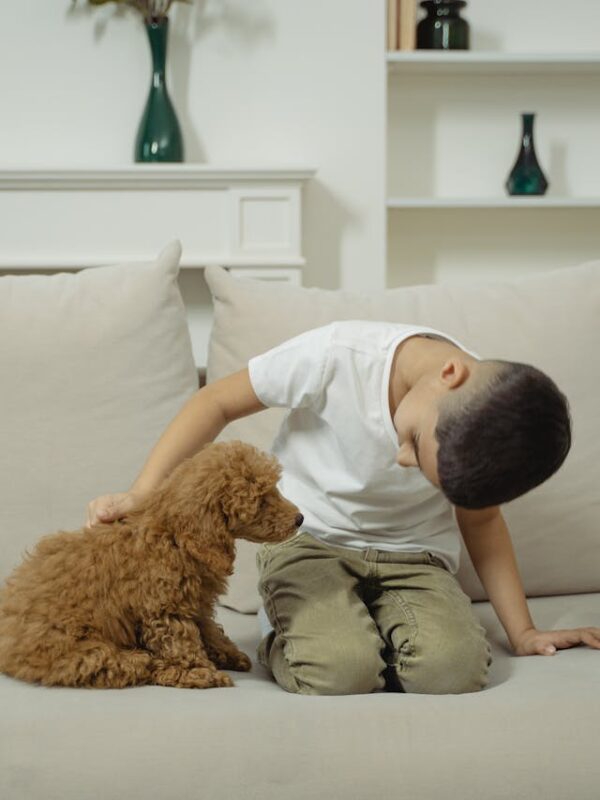 animal companie copil educatie financiara