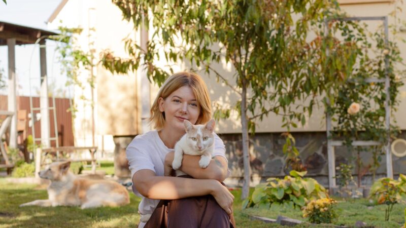 provocari animal de companie