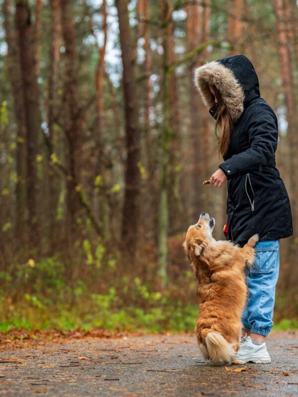 animal de companie avantaje